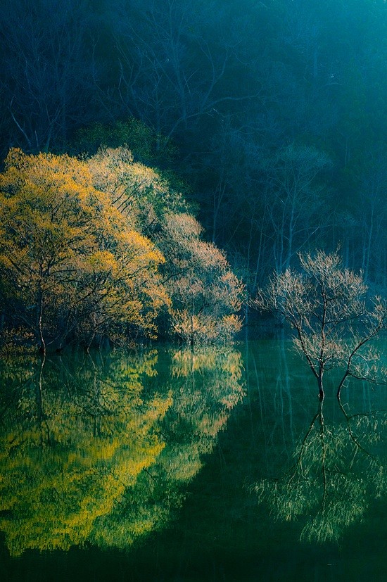 翠玉竹林从白头想见江南转采于2016-10-04 23:15:22草木深幽,寒潭凝碧