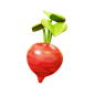 Beetroot  3D Icon