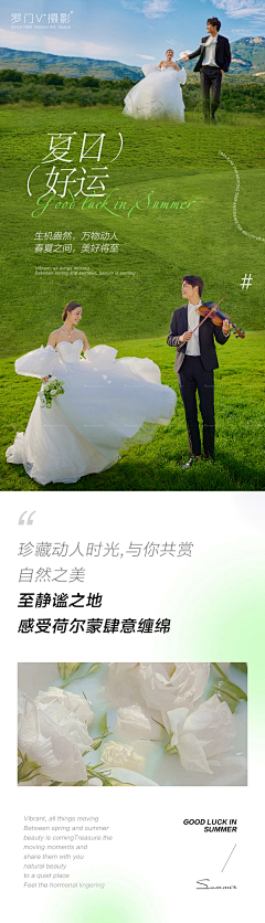 金~shE采集到森系排版