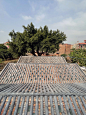 平沙岛·村口蚕房，广东南海大地艺术节 / 木月建筑设计事务所 – mooool木藕设计网
