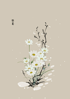 弞非采集到花卉插画