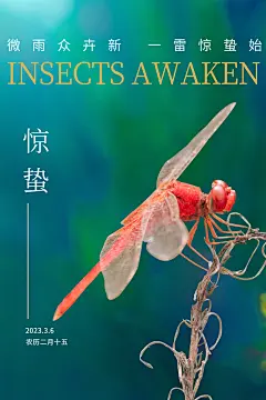 中国传统节气惊蛰简约手机海报