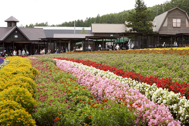 Farm Tomita Corridor...