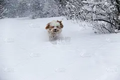 我来