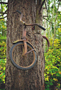 1914年，一个小男孩把自行车锁在了树上后就去参加战争了，从此以后，他再也没有回来，而那辆自行车，也被永远地留在了那里。[吃惊]