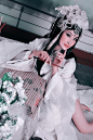 虞美人
