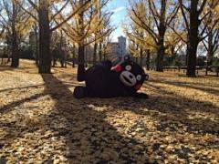 熊本壁纸 电脑桌面壁纸_百度图片搜索