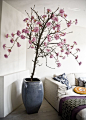 Japanse bloesem - een oude perenboomstam met zachtroze zijden bloesem erin verwerkt: 