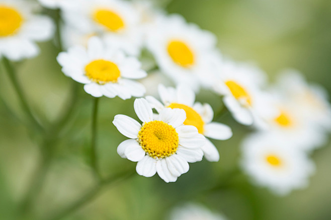 Free stock photo of ...