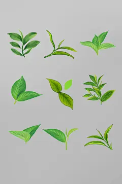 茶叶茶文化绿色花茶包装免扣元素