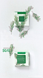 肥皂包装设计/植物插画/植物包装设计/香皂包装设计