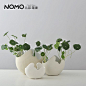 NOMO现代简约白色陶瓷花瓶 客厅创意白色陶瓷装饰花瓶花器上弦月@北坤人素材