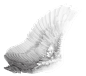翅膀 _png素材_T201936 #率叶插件，让花瓣网更好用_http://jiuxihuan.net/lvye/#
