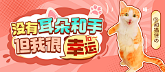 大头肥野采集到banner