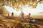 Young family bike riding in sunny autumn park_创意图片