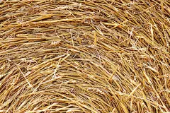 太阳干草堆背景