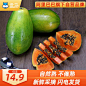 【盒马】广西红心木瓜3斤装单果500g+新鲜水果现摘现发-tmall.com天猫