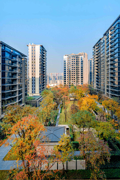 YuanQuanCQ采集到J