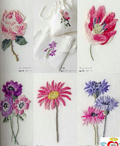 |:采集到花花