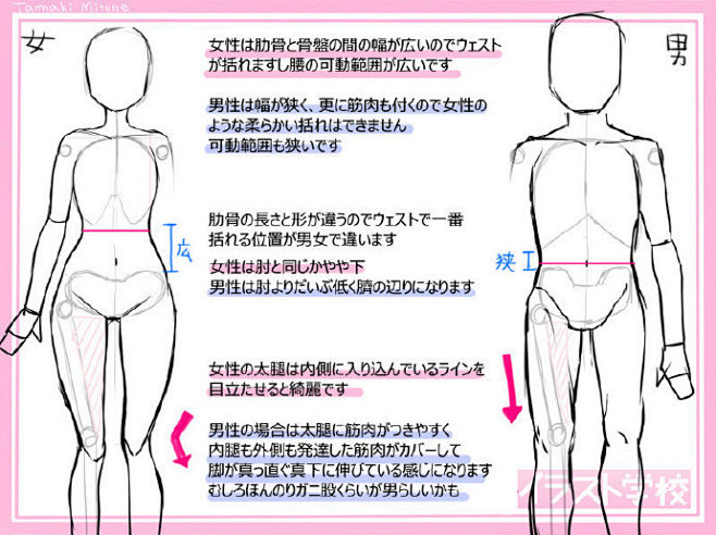 #绘画教程# 男性女性绘制的区别，体格差...