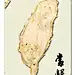 “当归”  收复台湾平面设计