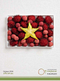 美食与国家创意海报设计@北坤人素材