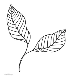 日本元素手绘插画