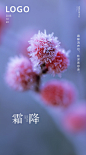 霜降
