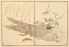 大设计师kk采集到日式名画