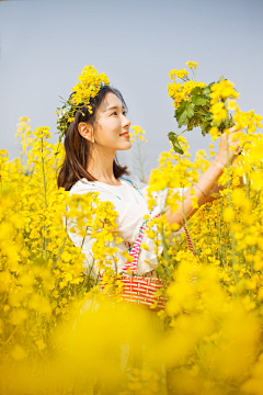 安然守候采集到油菜花