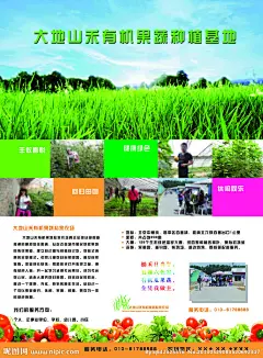 农场 彩页 画报 海报 宣传单 促销 活动 瓜果蔬菜 水果 清新 绿色 环保 创意