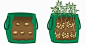 Image result for Garden In A Bag 