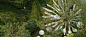 cover_image