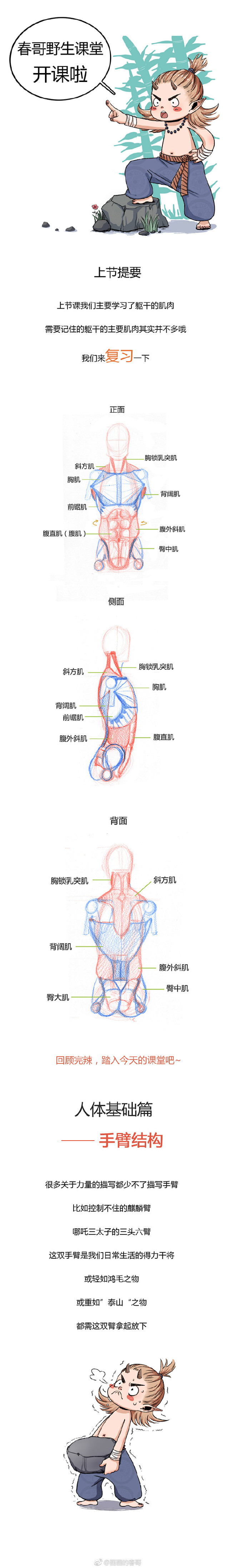 条漫第四弹：手臂肌肉到底怎么画？（理解+...