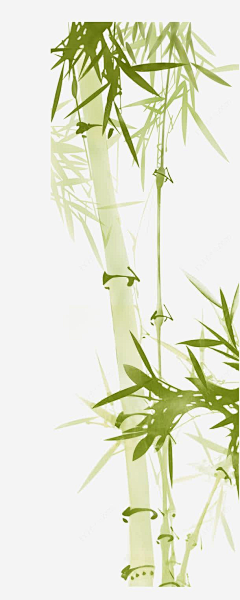 k-223采集到草本植物