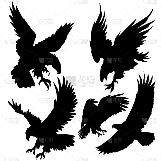 鹰,两只动物,猎狐比赛,天空,大鹏金翅鸟迦楼罗,运动,进攻,布置,剪影,设计
