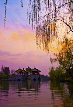 苏青玲采集到风景