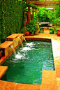 Small pool and so pretty!: 