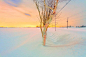［背景］雪地