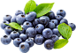blueberries_PNG65.png (4145×2889)