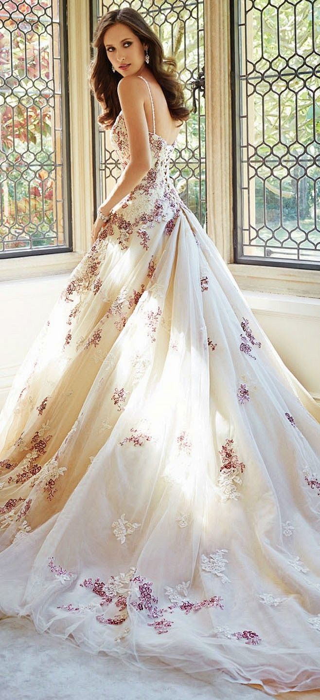 Sophia Tolli Fall 20...