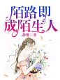 #江淮工作室#现言小说封面，Y设计