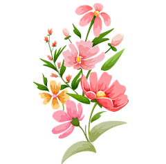 DkNbIGPa采集到花