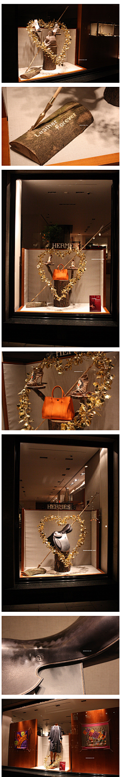 cocodesign采集到WINDOW SHOW