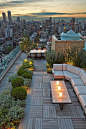 NYC rooftop terrace                                                                                                                                                                                 More