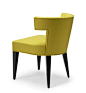 THE ISABELLA DINING CHAIR 05...Height: 765    Width: 520     Depth: 510