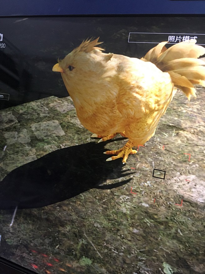ff15陆行鸟幼鸟宝宝