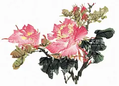 牡丹  - 源文件下载【酷图网】百花争艳,国画百花争艳,国画,花鸟画,花,水墨画,花朵,红花,手绘花朵,手绘花,水墨画花,抽象花,工笔画,月季,牡丹,水墨荷花,