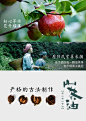 老山翁山茶油 高山野生山茶油 10-30年树龄-淘宝网