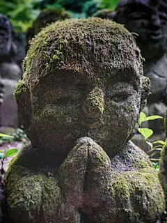 京都最可爱的寺庙｜1200表情包网红治愈神地 - 小红书